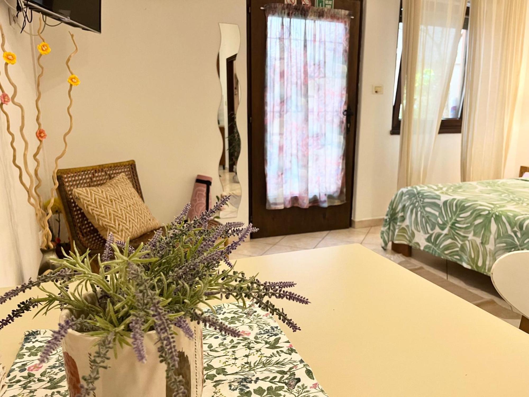 Biba Apartments プーラ エクステリア 写真